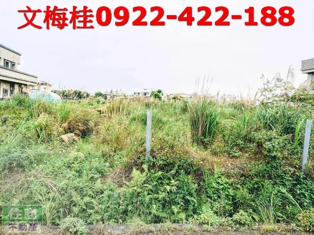 宜蘭宜蘭市農地-7