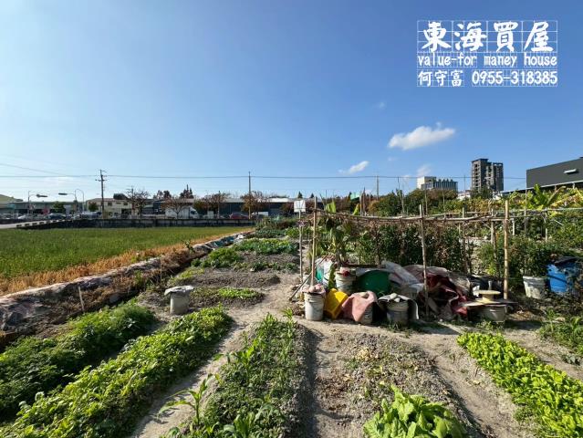 台中西屯農地-3