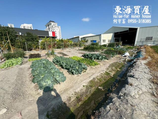 台中西屯農地-4