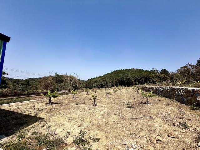 鹿谷農地-1