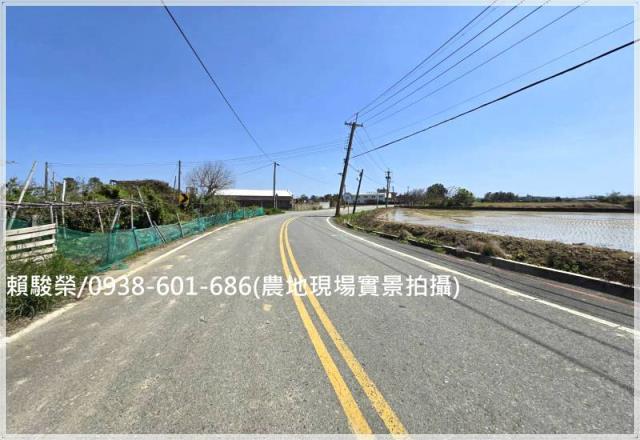 桃園觀音保興路農保田