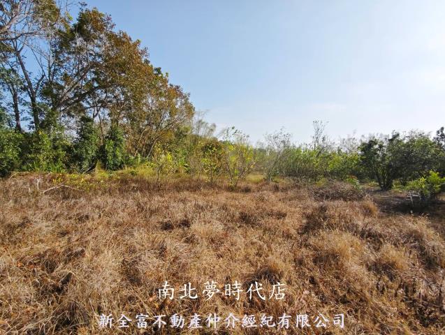 台南左鎮農地-1