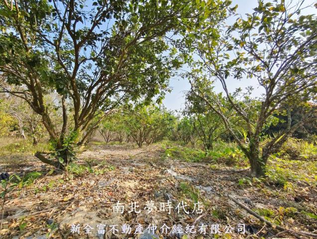 台南左鎮農地-3