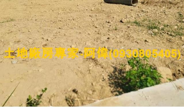 高雄大社農地-1