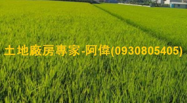 高雄鳥松農地-1
