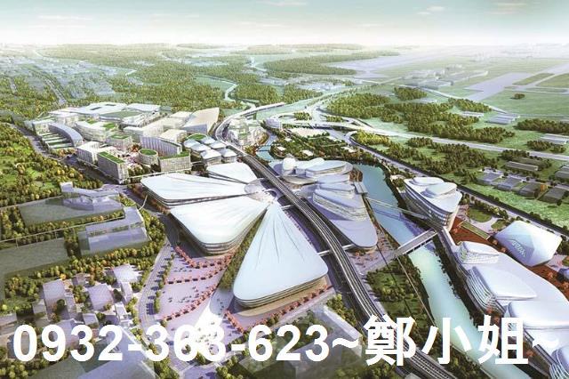 桃園大園建地-4