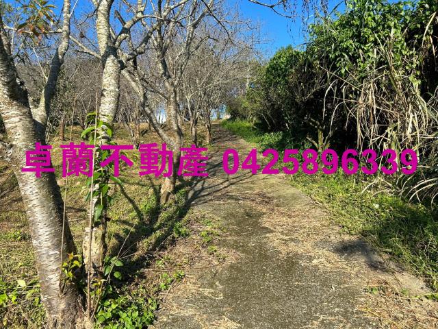 苗栗卓蘭農地-4