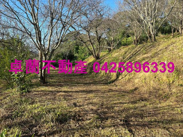 苗栗卓蘭農地-5