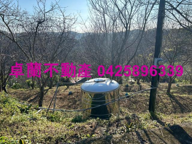 苗栗卓蘭農地-2