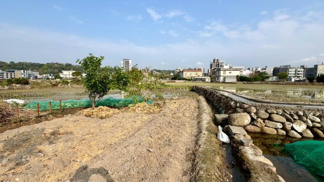 新竹芎林農地-5