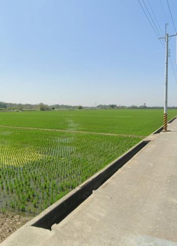 嘉義大林法拍農地-6