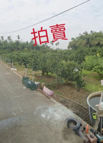 嘉義大林農地法拍-6