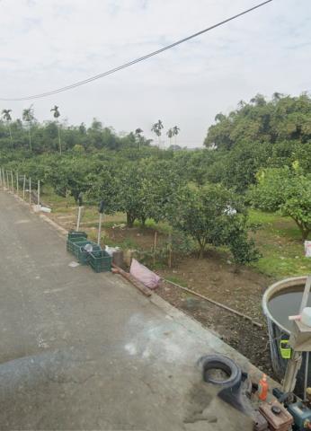 嘉義大林農地法拍-8