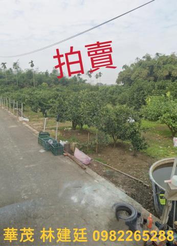 嘉義大林農地法拍-1