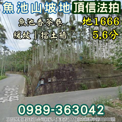 南投魚池法拍農地-3