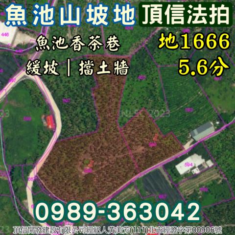 南投魚池法拍農地-7