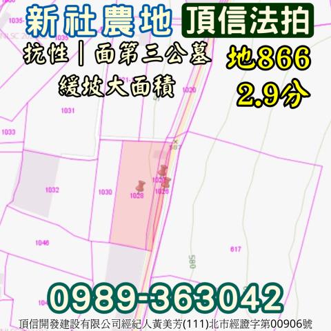 新社拍賣農地-4