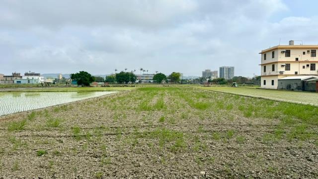 新竹竹北農地-3