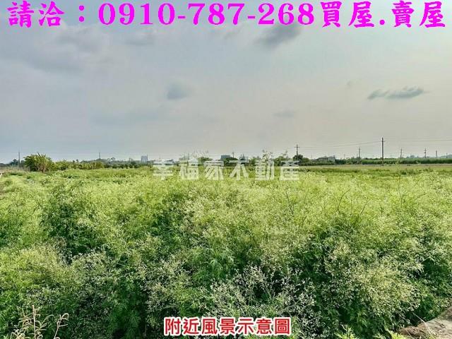 台南善化農地-4