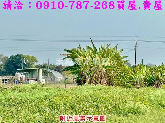 台南善化農地-6