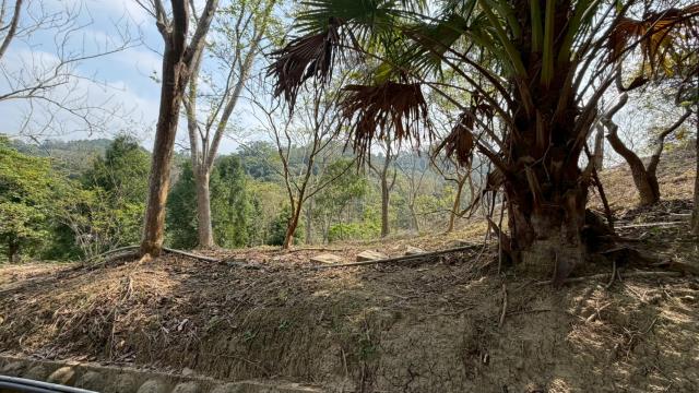 新竹北埔農地-10