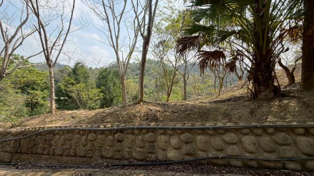 新竹北埔農地-12