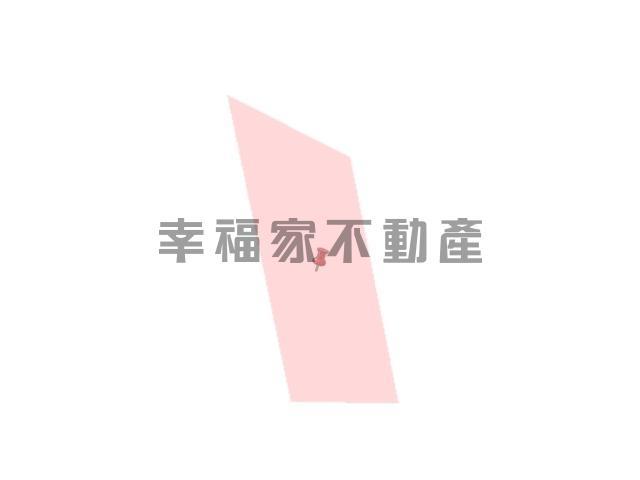 台南善化農地-15