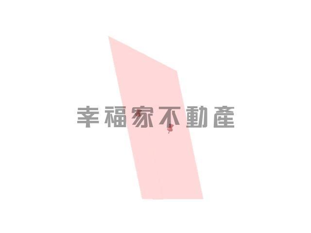 台南善化農地-15