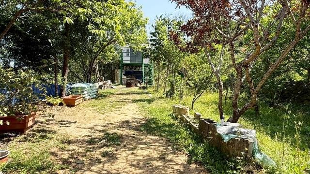 新竹關西農地-9