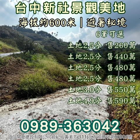 台中新社農地-10