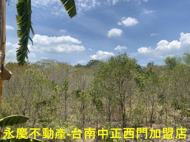 台南玉井農地-3