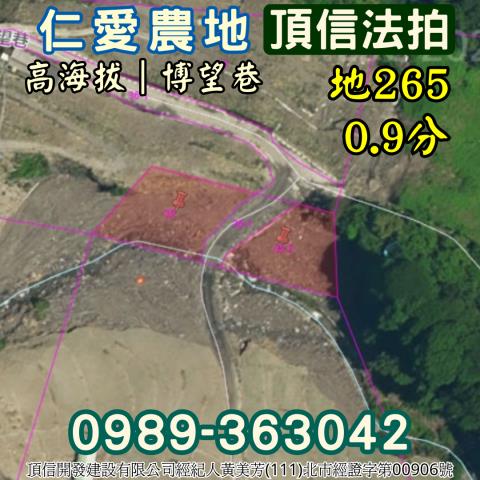 仁愛鄉法拍農地-5