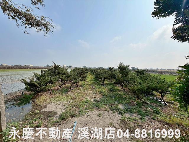 二林農地-4