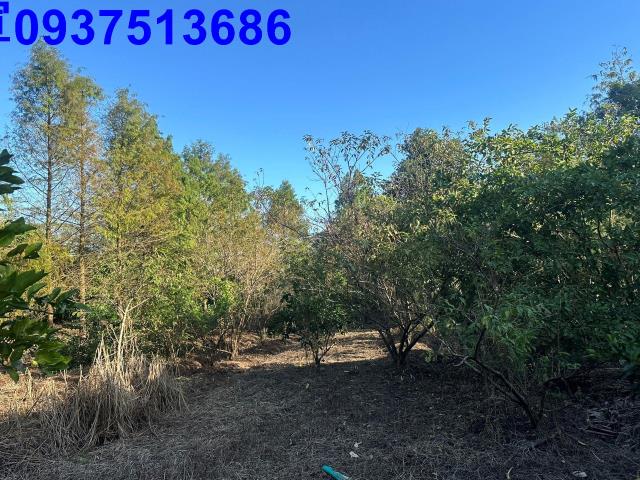 宜蘭員山農地-1