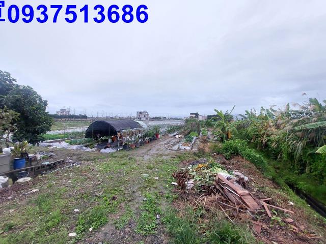 宜蘭壯圍農地-10