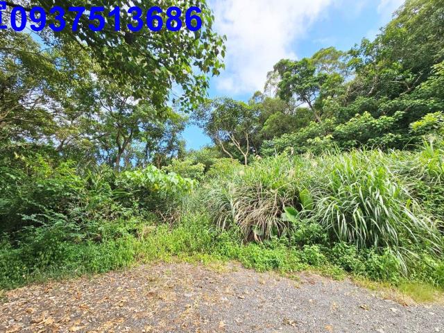 宜蘭頭城山坡地-5