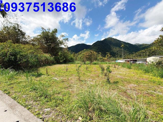 宜蘭員山農地-11