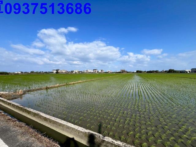 宜蘭礁溪農地-2