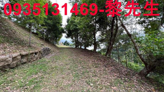 新竹北埔農地-15