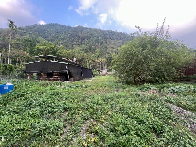 埔里農地-11