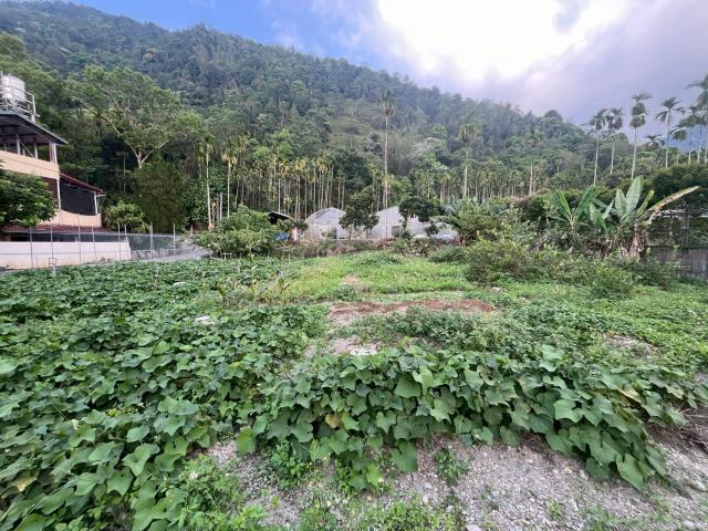 埔里農地-12
