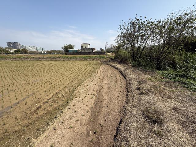 桃園新屋農地-2