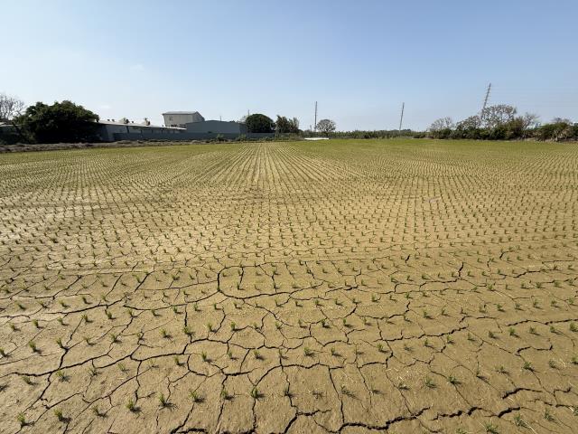 桃園新屋農地-5