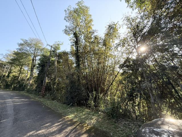 桃園楊梅建地-1