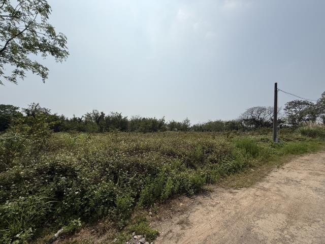 桃園八德農地-6