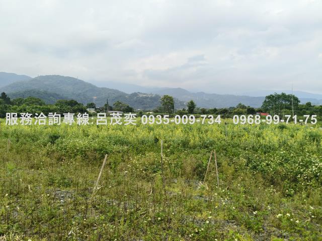 宜蘭礁溪農地-13