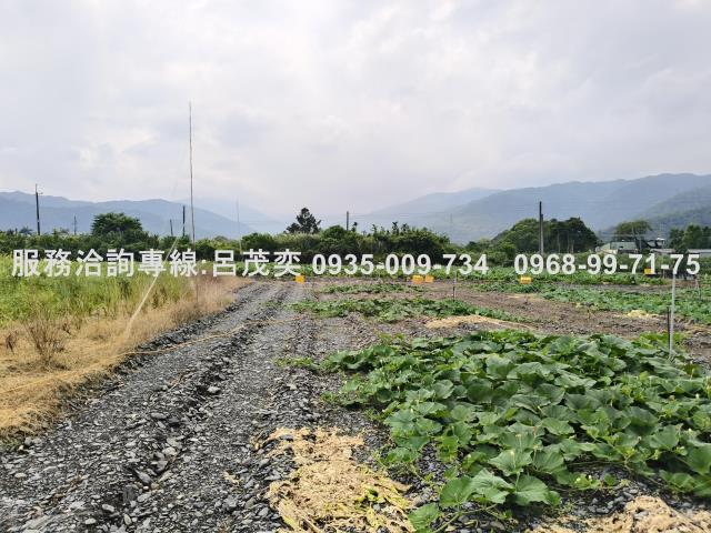 宜蘭礁溪農地-14