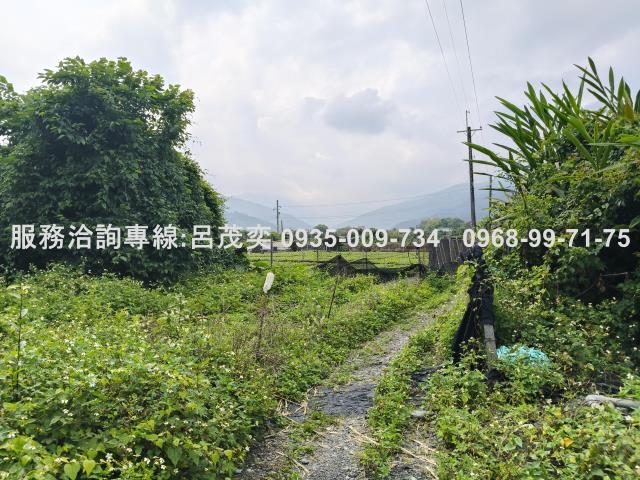 宜蘭礁溪農地-8