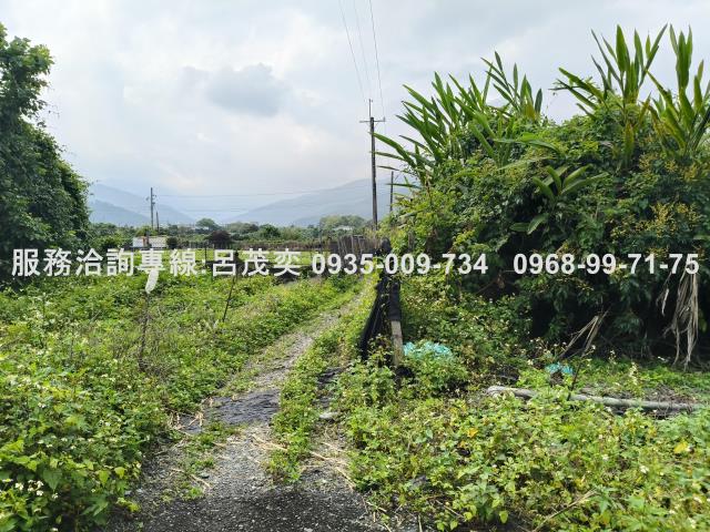 宜蘭礁溪農地-10