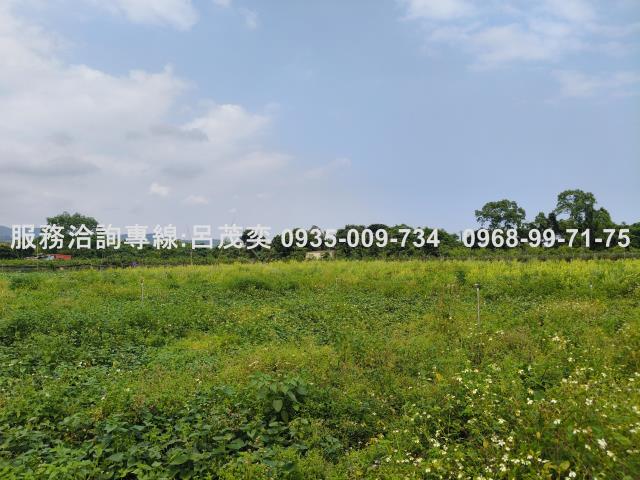 宜蘭礁溪農地-1
